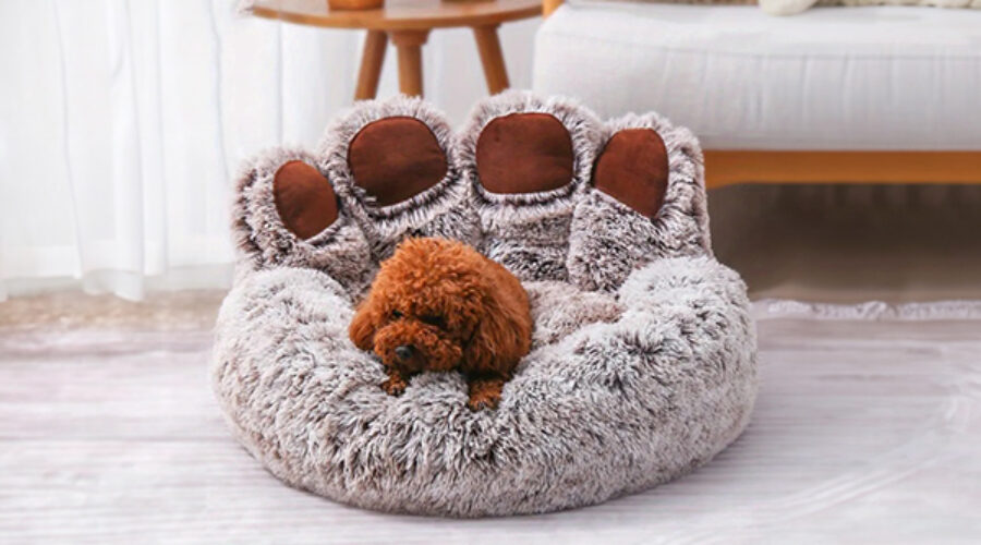 The Ideal Dog Bed