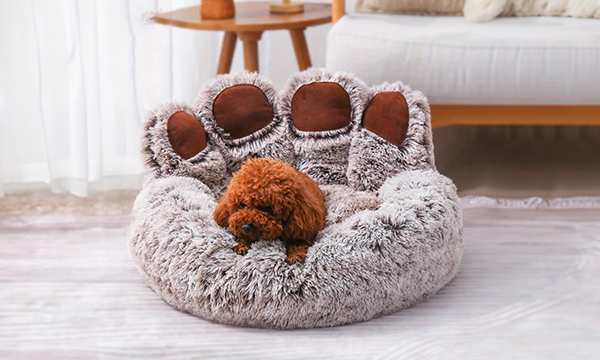 Dog Bed