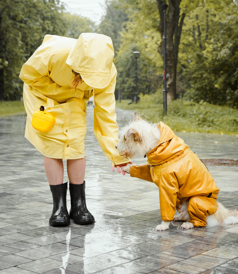 Fascinating Facts About Dogs