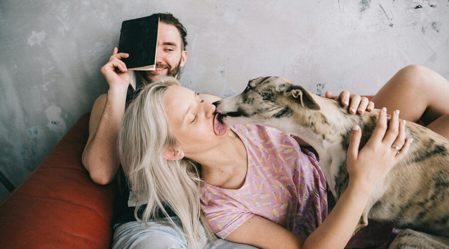 Understanding Why Dogs Lick: Exploring Canine Behavior